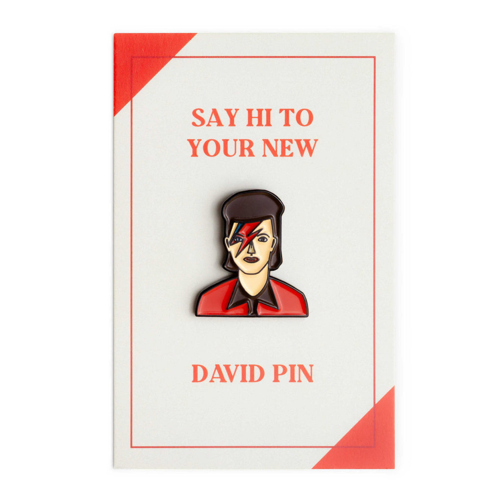 David Enamel Icon Pin — Wholesale for Bookstores | A Book to Wear