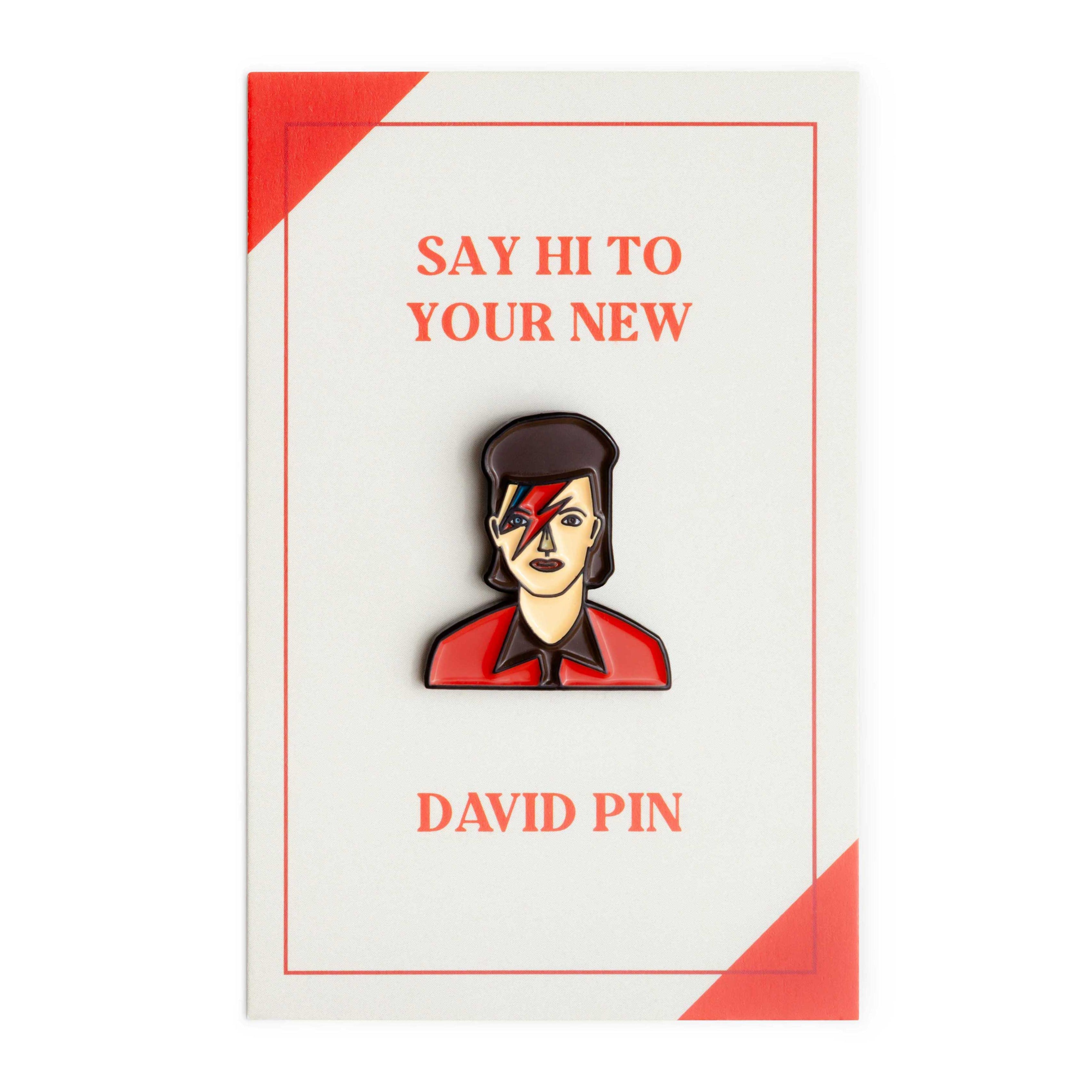 David Enamel Icon Pin — Wholesale for Bookstores | A Book to Wear